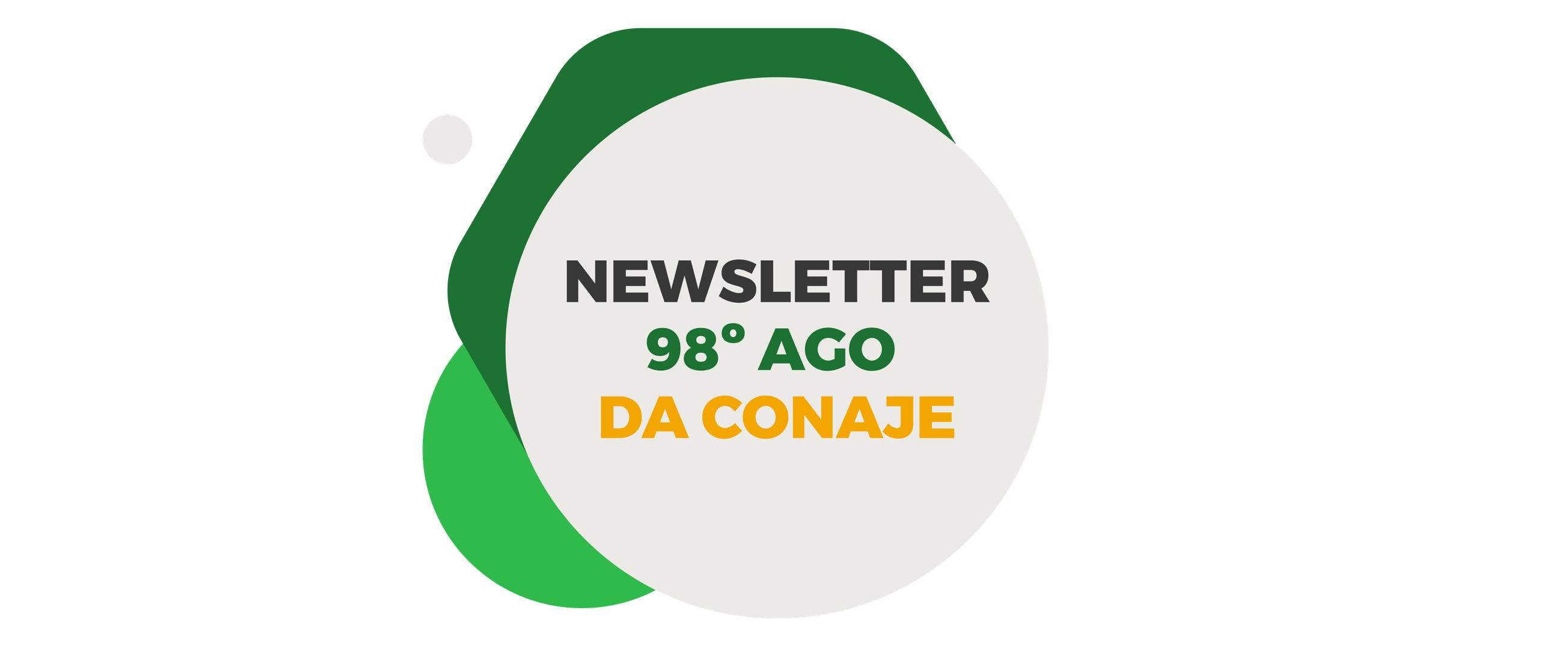 Newsletter do Mês de Agosto